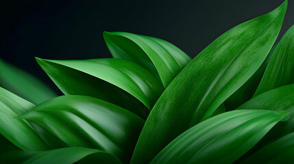 Fototapeta premium Bright Green Grass Leaves Background