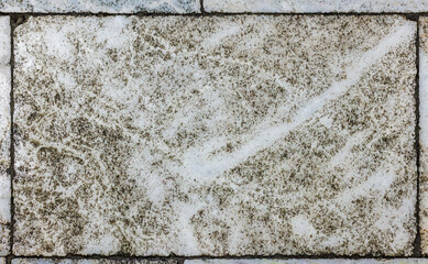 Off-White Marble Floor Tile with Grey and Brown Mottling