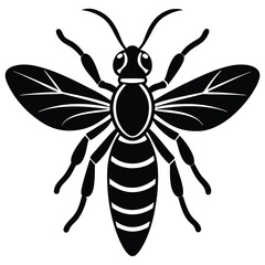 Wasp vector silhouette single collection