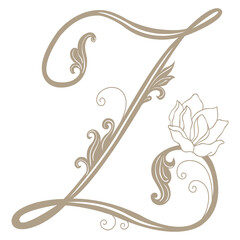 Vector Illustration of Vintage Letter and Monogram Z.