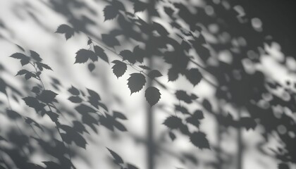  Nature's Shadows on Wall
