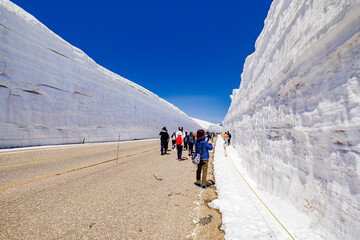 富山県　雪の大谷ウォーク
