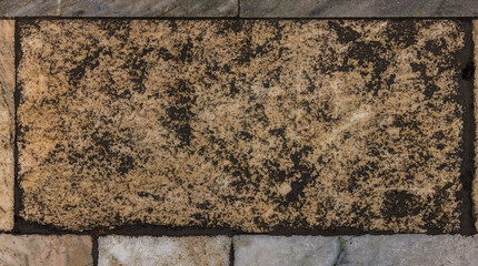 Worn Marble Floor Tile with Dark Inclusions