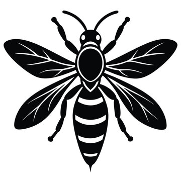 black and white bee graphic clip art preview