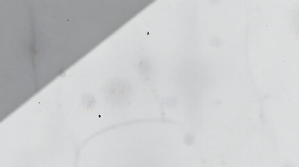 Polished Light Gray Cement Surface with Subtle Imperfections