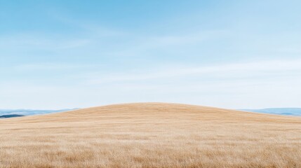 Fototapeta premium Vast, golden field under a pale blue sky. A gentle rise in the center