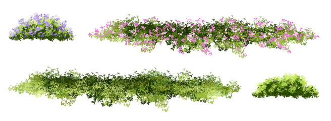 set of grass, Vertor set of spring blossom tree,blooming plants side view  for landscape elevation and section,eco environment concept design,watercolor shrub illustration,colorful season