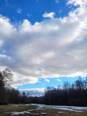 winter landscape with snow covered trees