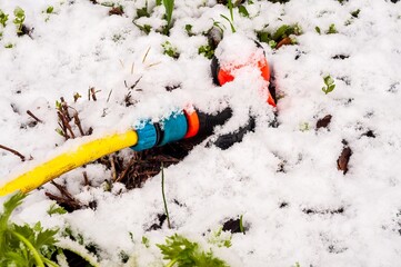 A yellow garden hose peeks from the snow, surprising in the springtime outdoors.