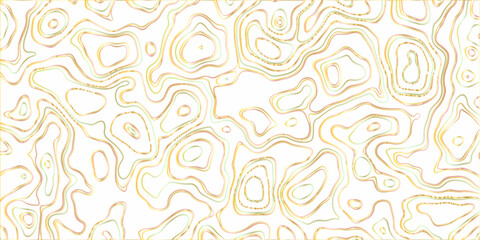 Abstract wavy curve geography topography lines contours map background. Topography white wave lines vector background. 