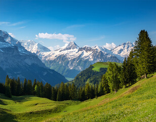 Obraz premium swiss alps mountain range with lush forest valleys and meadows countryside in switzerland landscape snowy mountain tops in the horizon travel destination wallpaper background