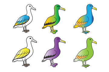 Fototapeta premium Albatross bird vector set
