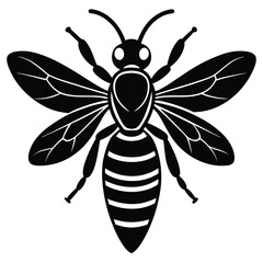 Wasp vector silhouette single collection