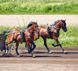  two horses in harness racing across a racetrack
