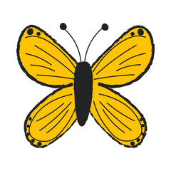 butterfly on white background