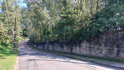 Road with trees at Jardim QuatroMarias- São Bernardo do Campo 