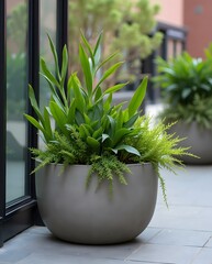 Urban Greening with a modern potted plant on city rooftop
