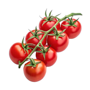 Red tomatoes on the vine, isolated on white background, transperant background