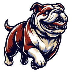Bulldog vector and illustration.