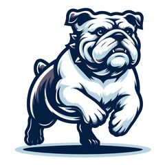 Bulldog vector and illustration.