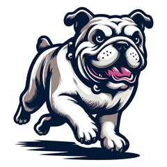 Bulldog vector and illustration.
