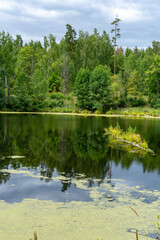 Obraz premium Different landscapes in autumn swamps.