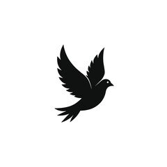 Obraz premium silhouette of dove