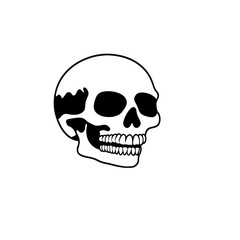 Fototapeta premium A detailed black and white illustration of human skull, showcasing intricate bone structure and teeth, set against plain background. image evokes sense of mystery and intrigue