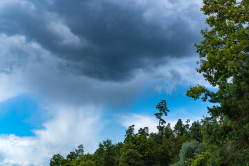 Obraz premium Different landscapes on the lake in summer.