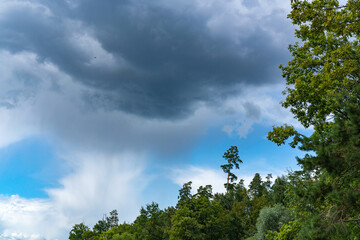Different landscapes on the lake in summer.