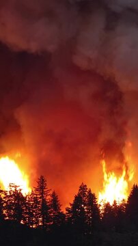 Large forest fire burns the side of a mountain near Portland Oregon. Vertical Video.