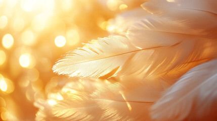 White feathers floating mid-air above a bedding surface in slow motion 