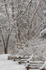 Natures Winter Wonderland