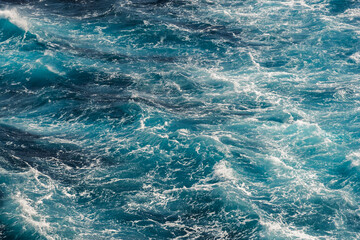 The Ocean's Resilience