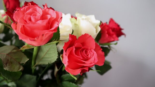 Bouquet of red and white roses on a neutral background. Close-up of a beautiful bouquet of red and white roses with green leaves, captured against a soft neutral background.