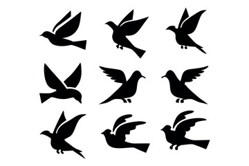 Fototapeta premium A collection of birds in various poses and movements, ideal for wildlife and flight related designs