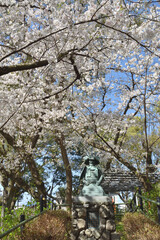 藤森神社の桜と神鎧像