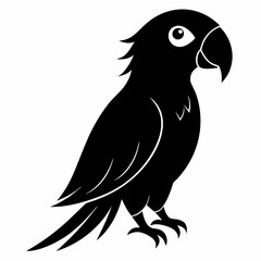 Classic Black Parrot Icon
