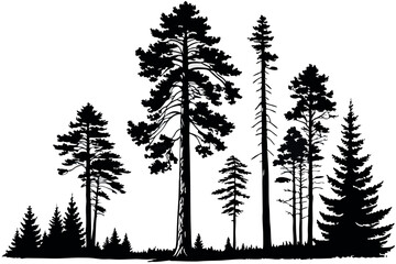 Forest of tall trees in a monochrome style, ideal for eco friendly and wilderness themed creative works
