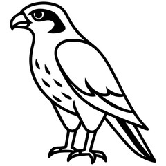 Clean and Modern Falcon Line Art