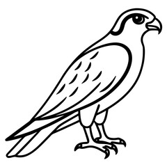 Clean and Modern Falcon Line Art