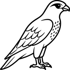 Clean and Modern Falcon Line Art