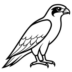 Clean and Modern Falcon Line Art