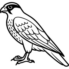 Clean and Modern Falcon Line Art