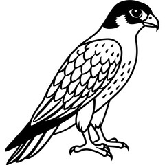 Clean and Modern Falcon Line Art