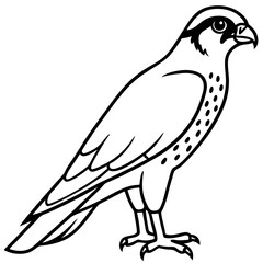 Clean and Modern Falcon Line Art