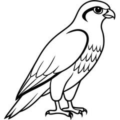 Obraz premium Clean and Modern Falcon Line Art