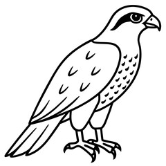 Clean and Modern Falcon Line Art