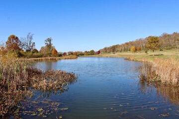 The peaceful lake in the country on a sunny autumn day.