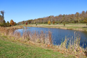 The peaceful pond at the park on a sunny fall day.